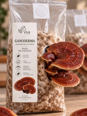 Ganoderma - Pack de Cultivo