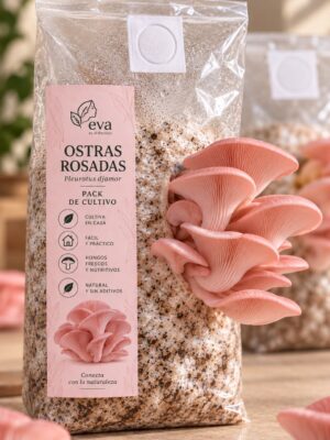 Ostras Rosadas - Pack de Cultivo