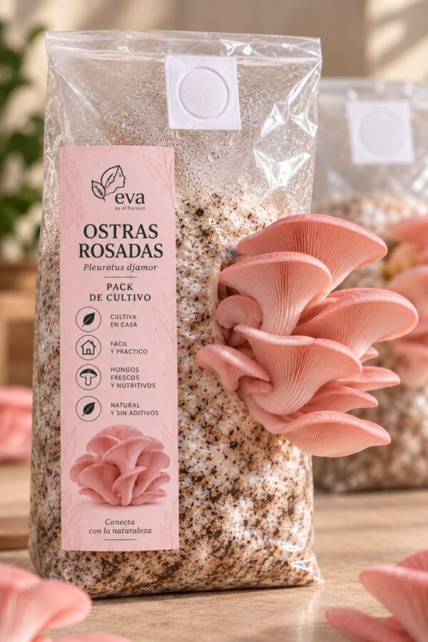 WhatsApp Image 2026-09-23 at 12.18.56 PM (1) Ostras Rosadas - Pack de Cultivo