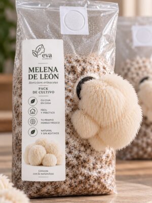Melena de León - Pack de Cultivo