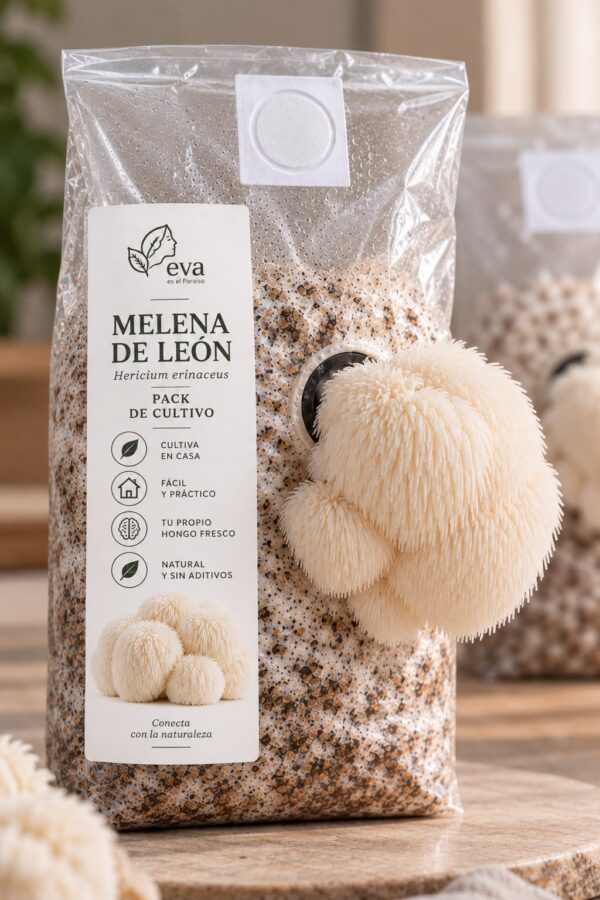 Melena de León - Pack de Cultivo