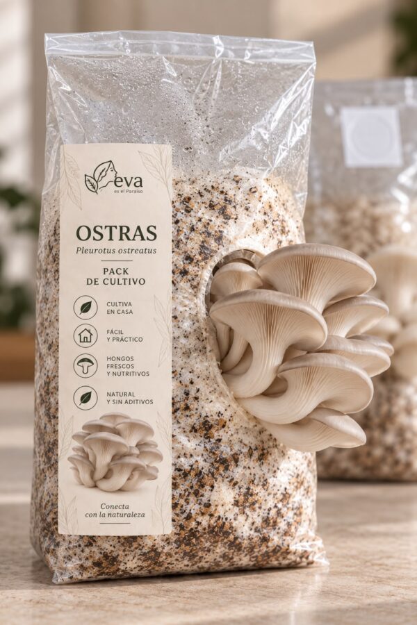 Ostras - Pack de Cultivo